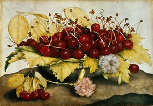 Cerises et œillets